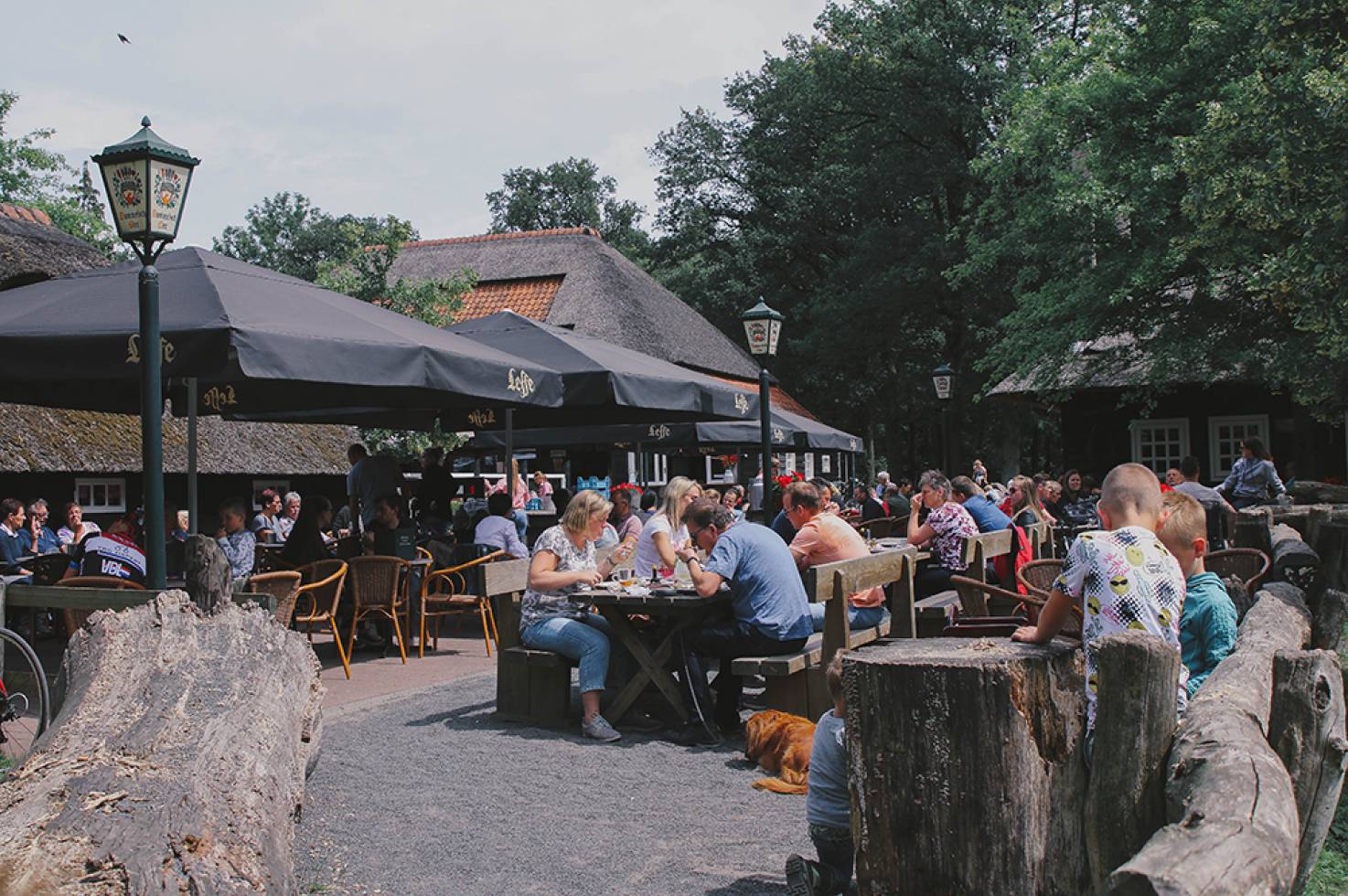 In den Bockenreyder - Esbeek